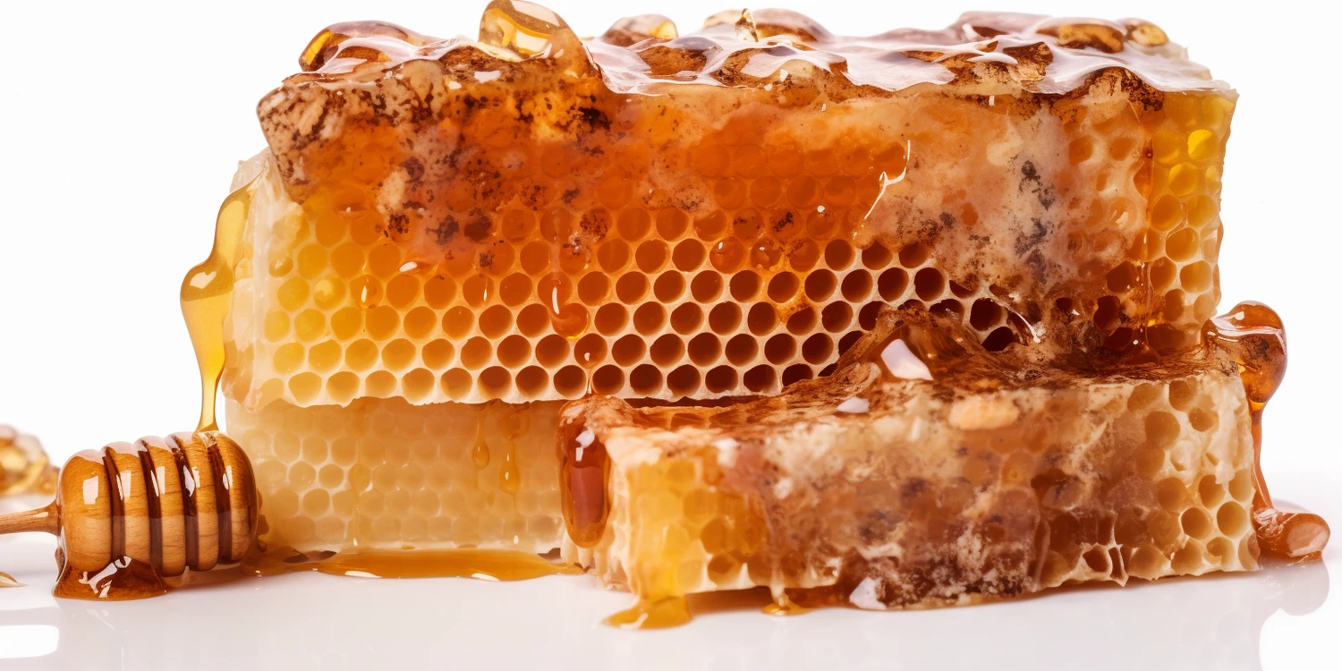 Kiedy zbiera się miód nawłociowy?