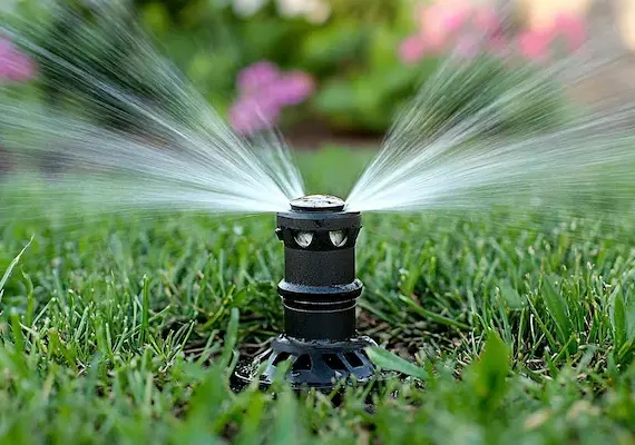 Nawadnianie ogrodu – jak zrobić?