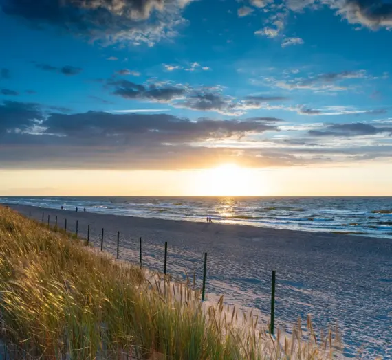 Czy trawa z rolki może się nie przyjąć?