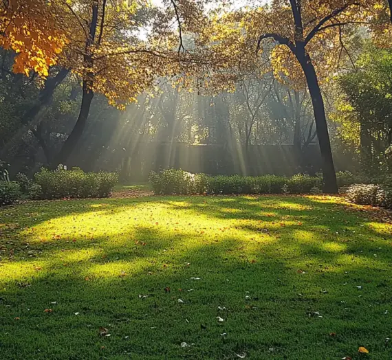 Ile waży trawa z rolki?