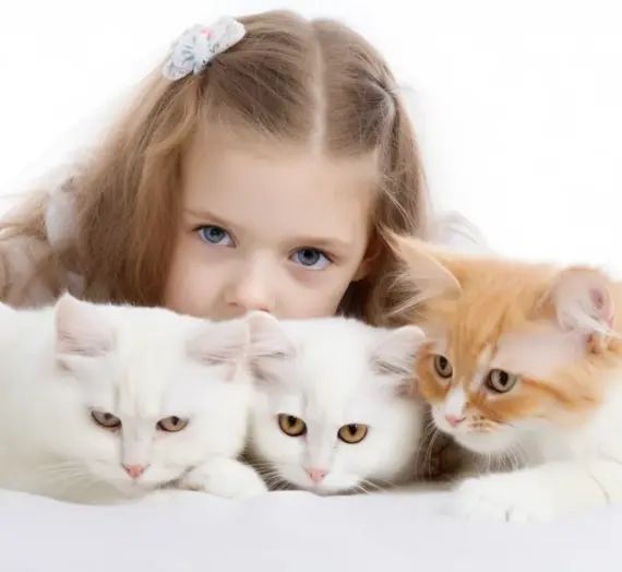 Kremacja zwierząt Zielona Góra