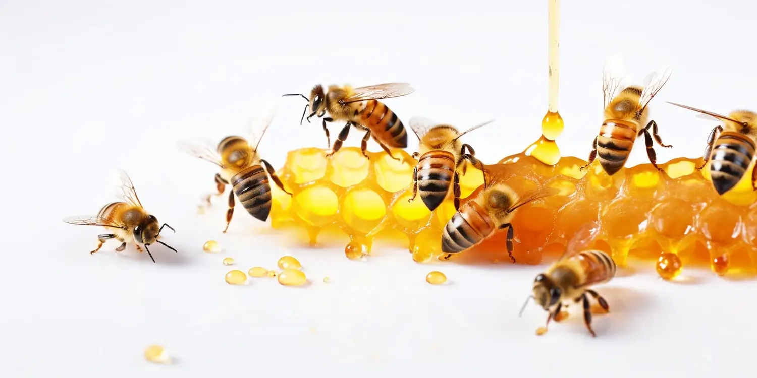 Zdrowie a miód wielokwiatowy