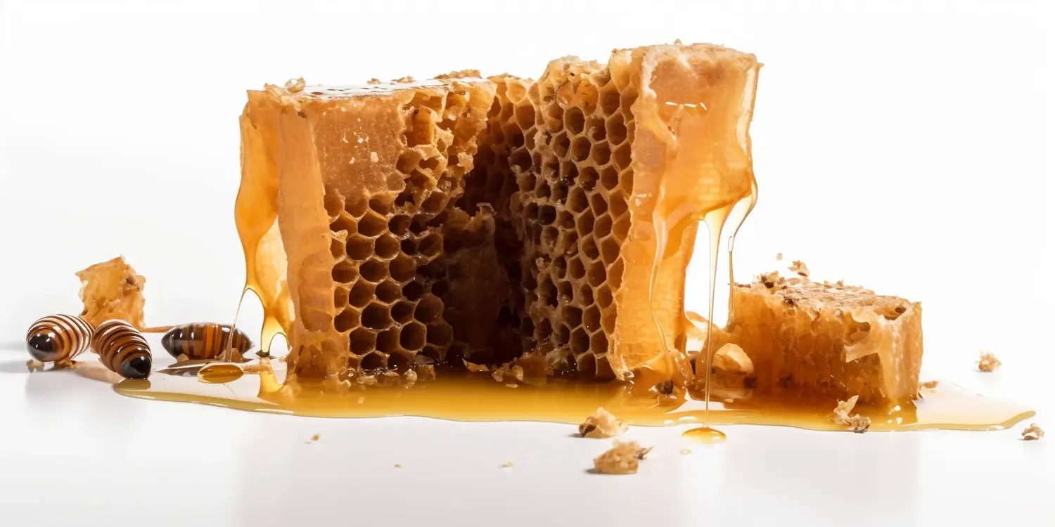 Hodowla matek pszczelich