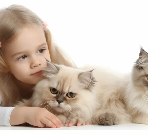 Tierkrematorium Pasewalk