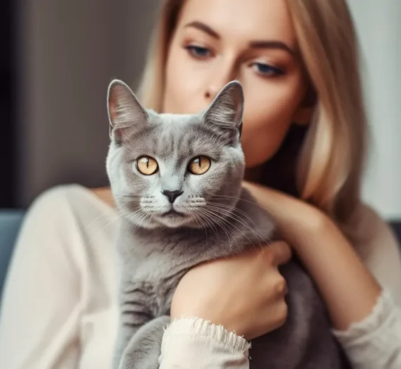 Tierkrematorium – was ist das?