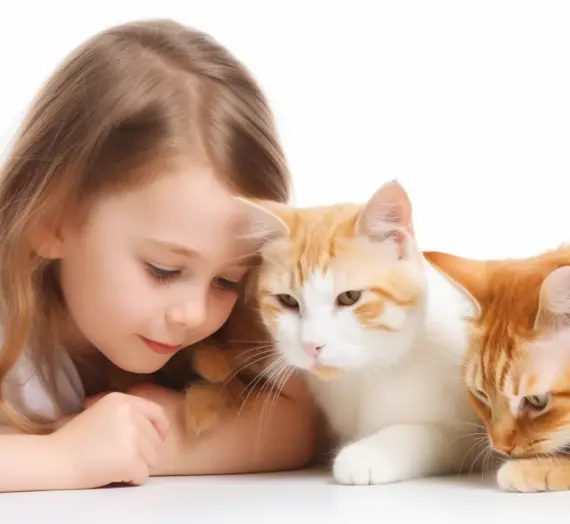 Wie viel kostet eine Tierkremierung?