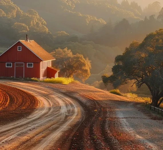 Gospodarstwo agroturystyczne kujawsko-pomorskie