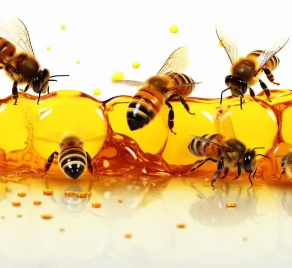 Łagodne matki pszczele