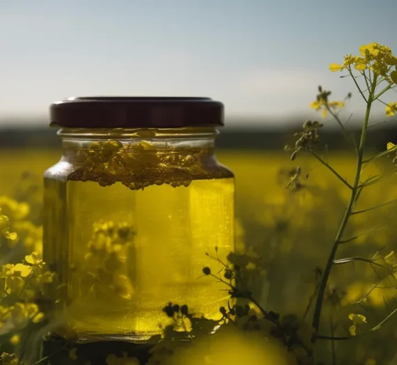 Miód malinowy – naturalny sposób na poprawę zdrowia