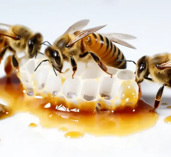 Produkcja matek pszczelich