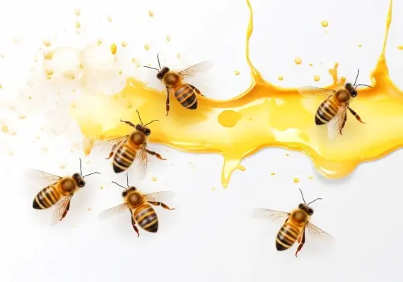 Rozwój matek pszczelich