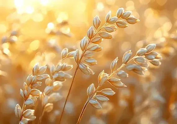 Jak oznacza sie produkty ekologiczne?