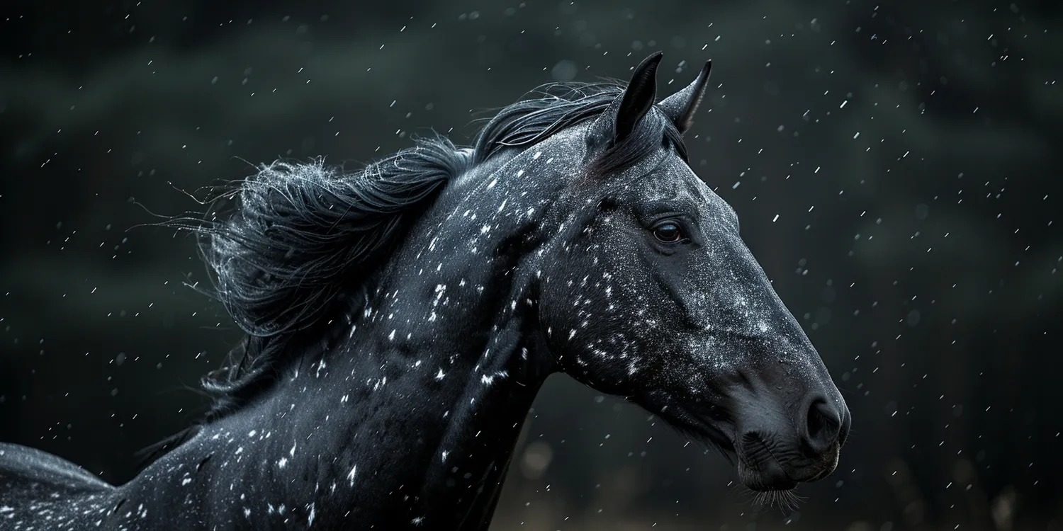 Jak zbudować własne krematorium dla zwierząt?
