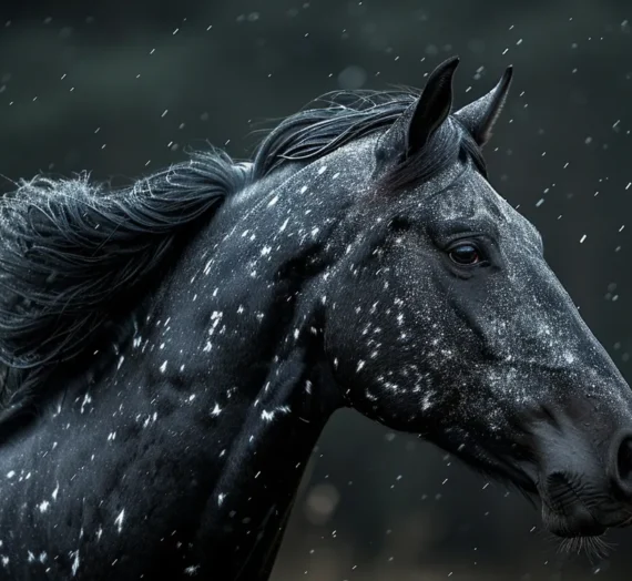 Przewodnik po krematorium dla zwierząt