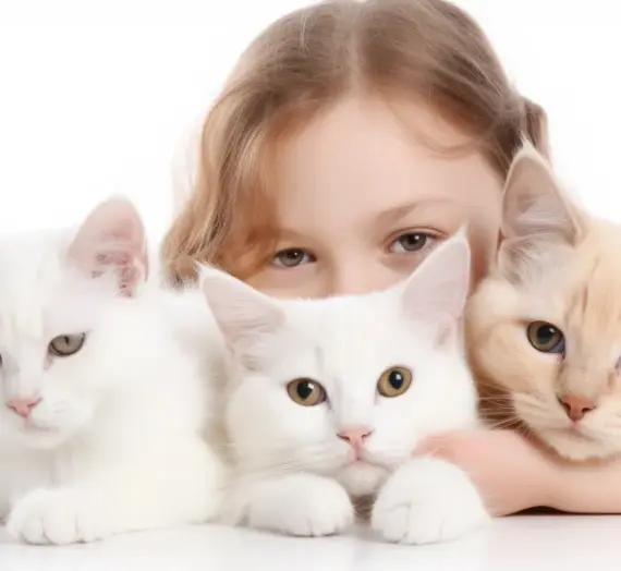 Tierkrematorium Berlin