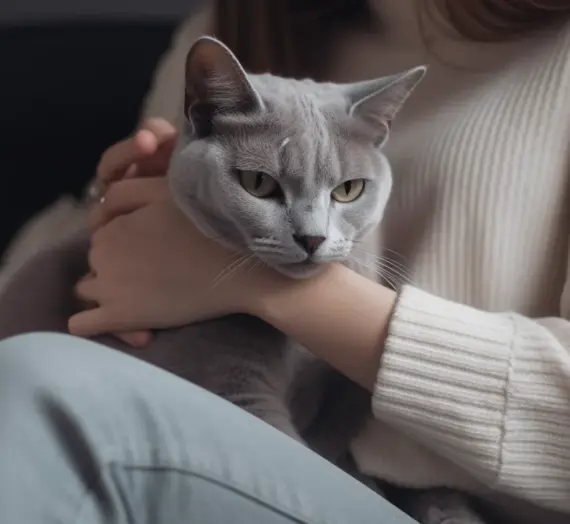 Tierkrematorium Preise in Berlin-Spandau