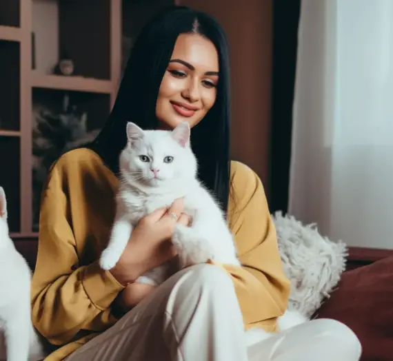 Tierkrematorium Kosten Pankow