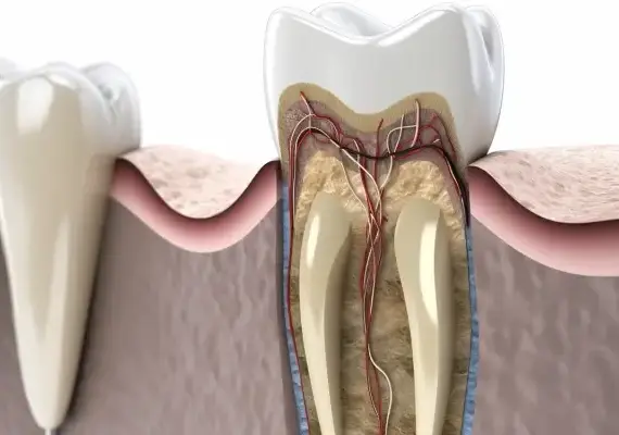 Dentysta dziecięcy Szczecin