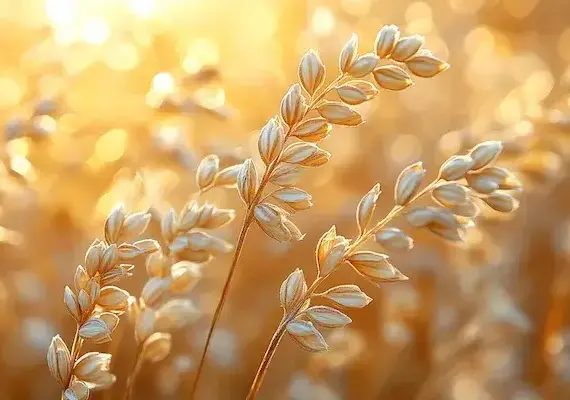 Gdzie kupić produkty ekologiczne?