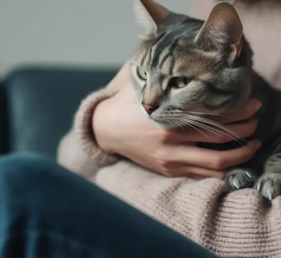 Krematorium dla zwierząt Szczecin