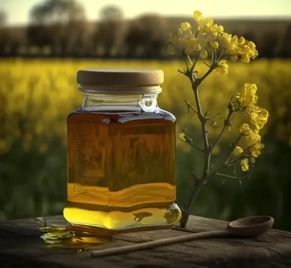 Miód rzepakowy jakie ma właściwości?