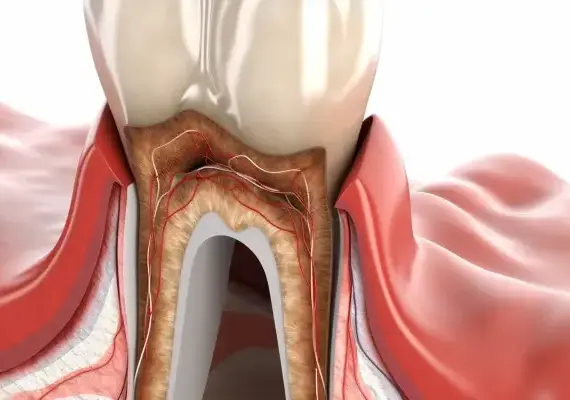 Od czego jest stomatolog?